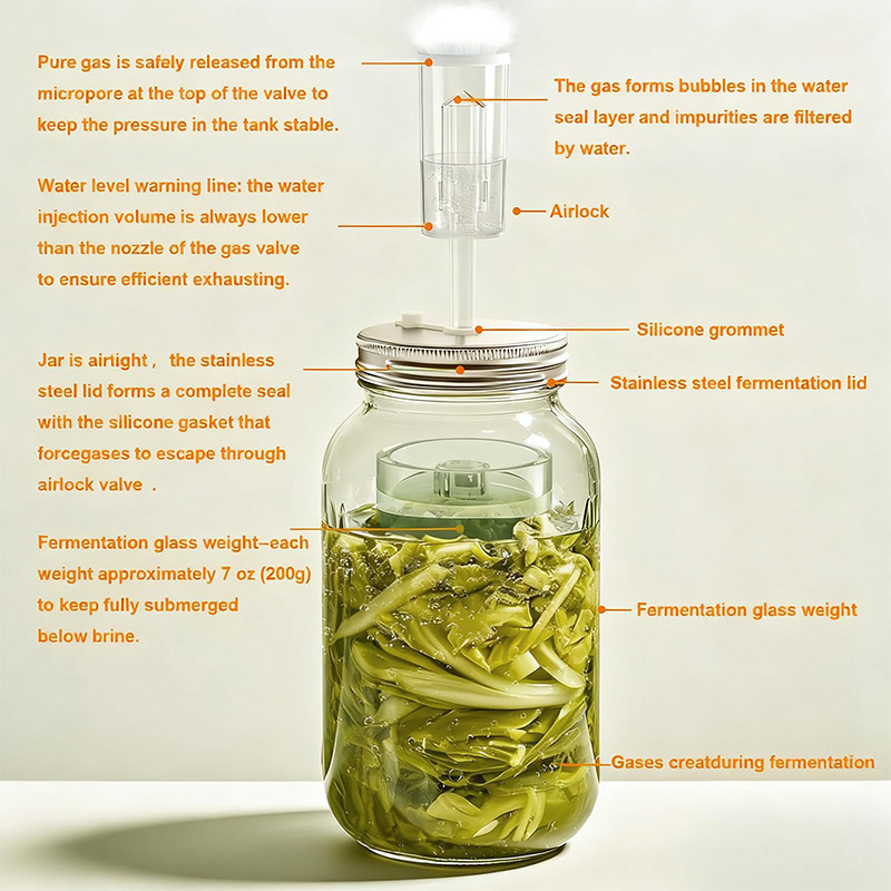 Fermentation Kit, Wide Mouth M - Fermentation Crock review and price